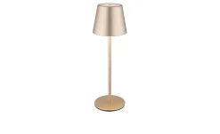 Akku-Tischleuchte Vannie I 3in1 36 cm