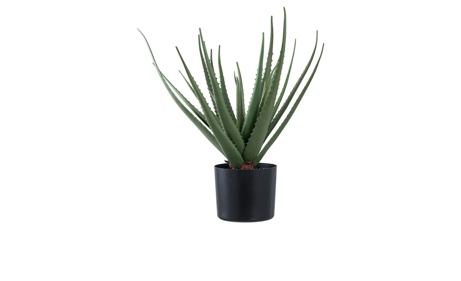 Aloe Vera Kunstpflanze Nilla