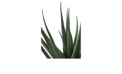 Aloe Vera Kunstpflanze Nilla