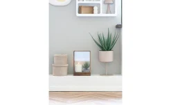 Aloe Vera Kunstpflanze Nilla