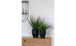 Aloe Vera Kunstpflanze Nilla