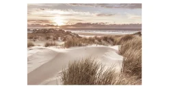 Alubild Beach at Sunrise 70 x 100 cm
