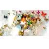 Alubild Butterflies in the Face 50 x 150 cm