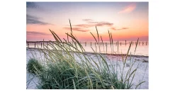 Alubild North Sea Sunset 70 x 100 cm