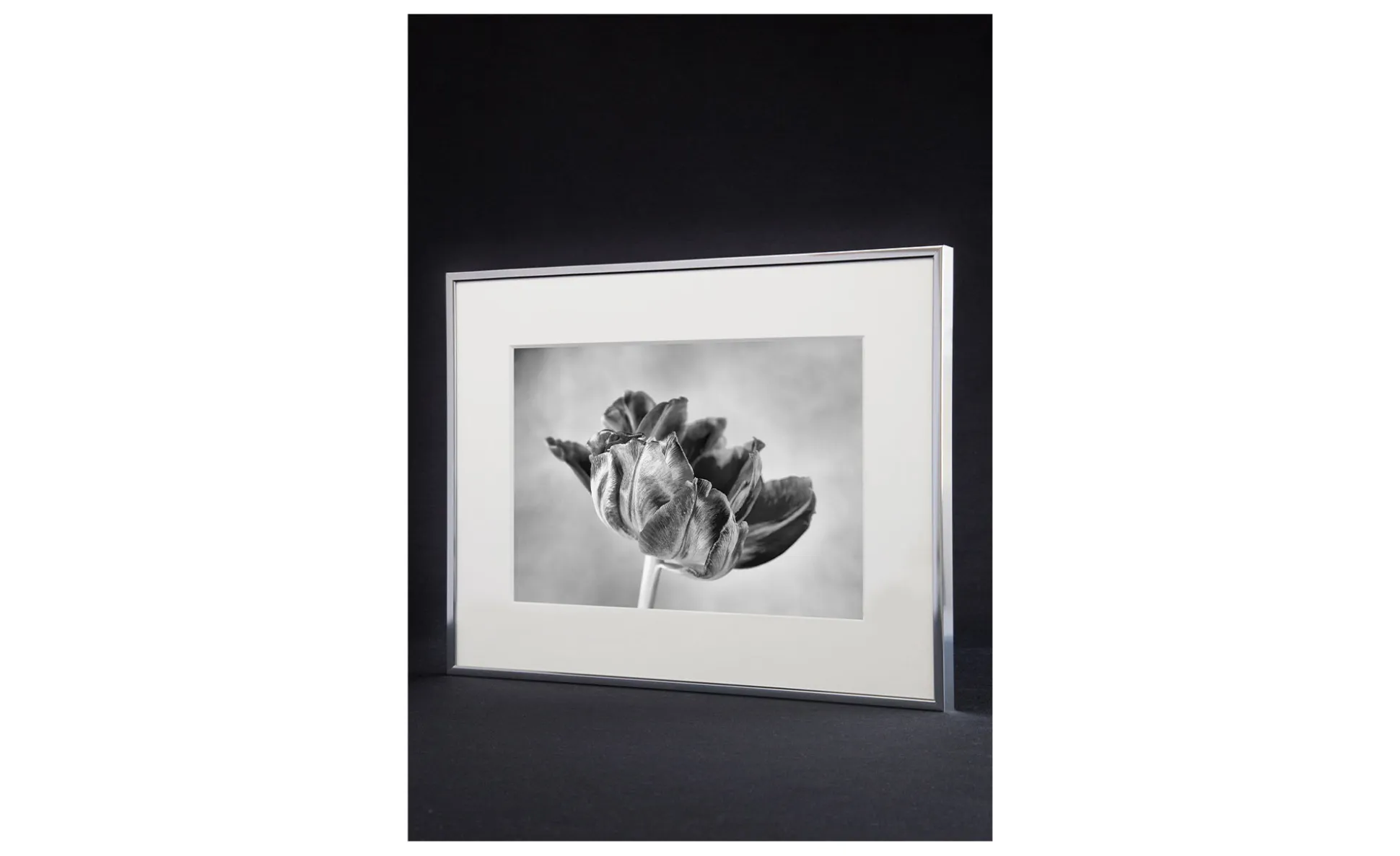 Bilderrahmen Accent 50 x 60 cm