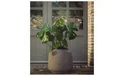 Blumentopf Lira