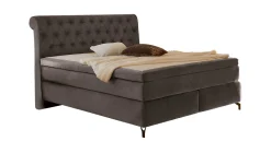 Boxspringbett Sheffield Mix