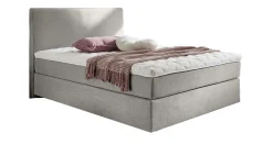 Boxspringbett vito Asetto