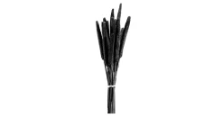 Bund Babala 15 cm