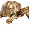 Deko-Figur Turtle
