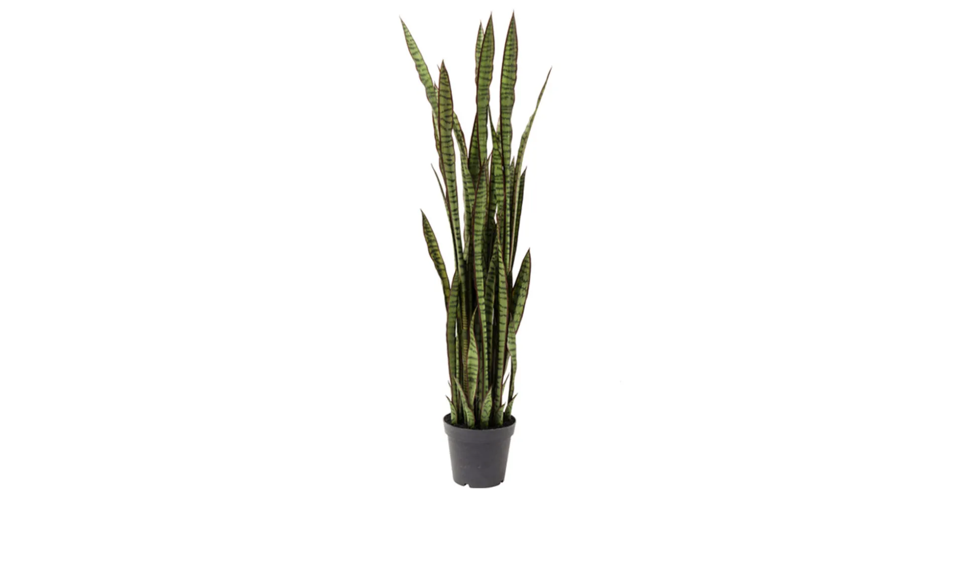 Deko-Pflanze 155 cm