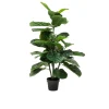 Deko-Pflanze Fiddle Leaf