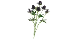 Distelzweig 57cm