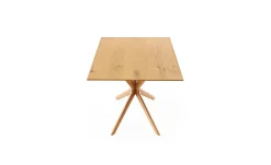 Esstisch Dining System