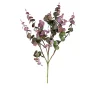 Eukalyptus 53 cm