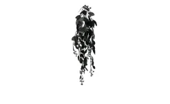Eukalyptus Hänger 75 cm