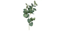 Eukalyptuszweig 64 cm