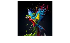 Glasbild Colorful Ara 50 x 50 cm