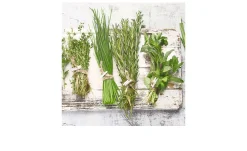 Glasbild Cook Me 30 x 80 cm