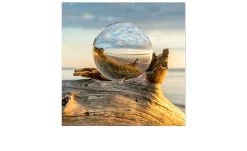 Glasbild Drop on Wood 50 x 50 cm