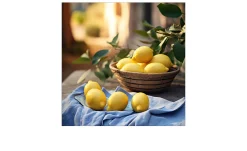 Glasbild Lemons III 30 x 30 cm