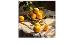 Glasbild Lemons IV 30 x 30 cm