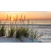 Glasbild Lonely Dune 30 x 80 cm