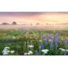 Glasbild Morning Haze 50 x 125 cm