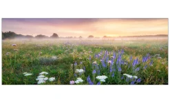 Glasbild Morning Haze 50 x 125 cm