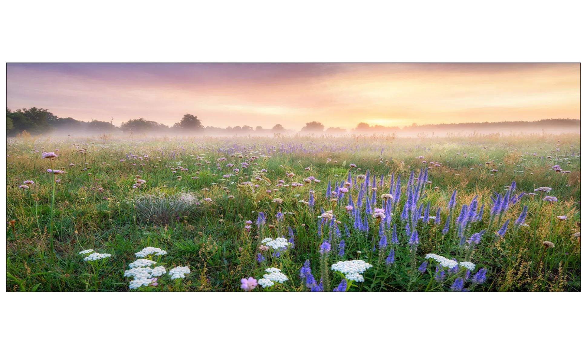 Glasbild Morning Haze 50 x 125 cm