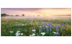 Glasbild Morning Haze 30 x 80 cm