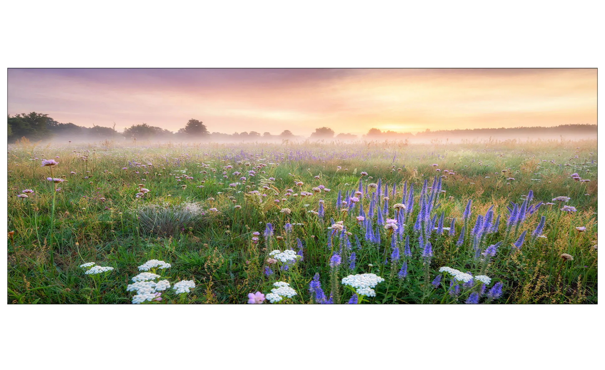 Glasbild Morning Haze 30 x 80 cm
