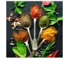 Glasbild Vintage Herbage II 50 x 50 cm