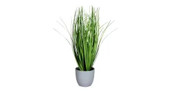 Grasarrangement 38 cm
