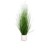 Gras 120 cm