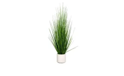 Gras 120 cm