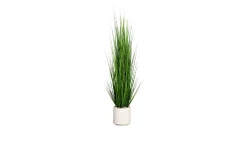 Gras 150 cm