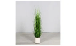 Gras 150 cm