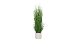 Gras 200 cm