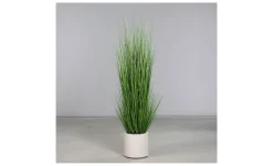 Gras 200 cm