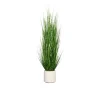 Gras 170 cm
