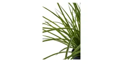 Gras Kunstpflanze Nilla