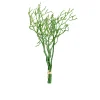 Heidelbeer Bund 35 cm