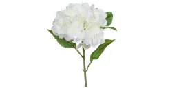 Hortensie 31 cm