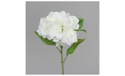 Hortensie 31 cm