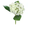 Hortensie 44 cm