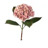 Hortensie 52 cm