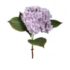 Hortensie 52 cm