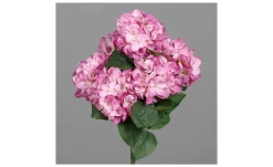 Hortensien-Busch 80 cm
