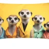 Kissenhülle Crazy Erdmännchen 30 x 50 cm